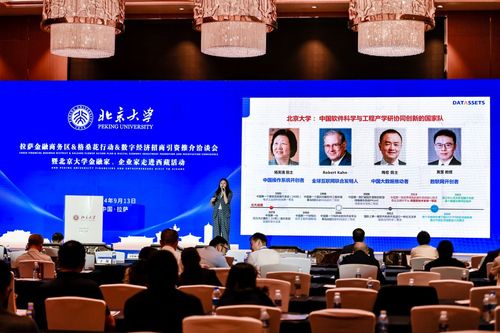 數字經濟新引擎 2024拉薩金融商務區格?；ㄐ袆诱猩桃Y洽談會啟航